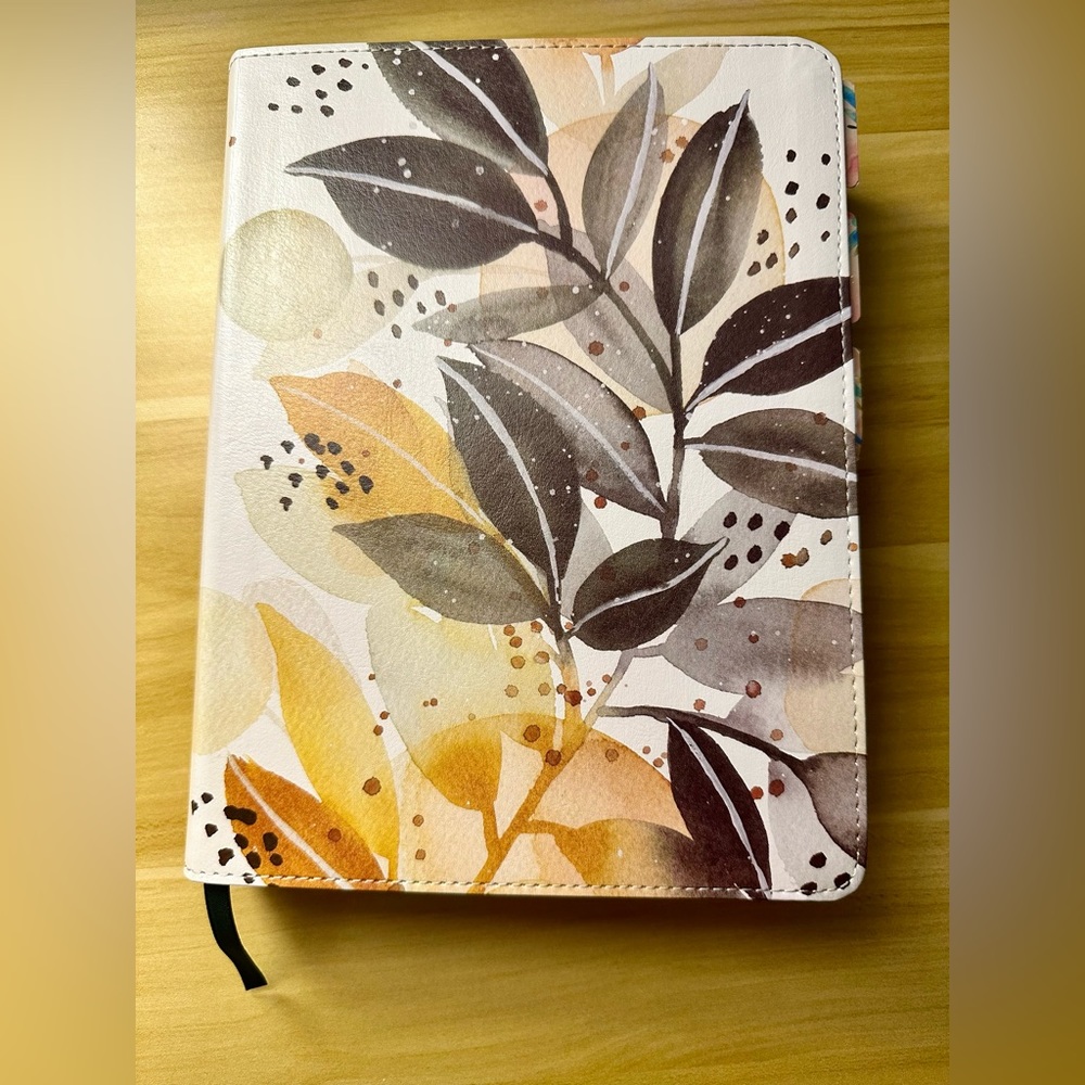 Dayspring filament Bible